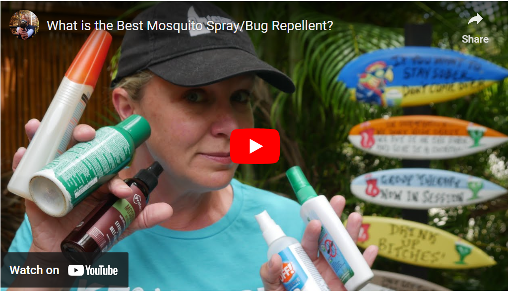 What to consider before buying the best bug spray for sand flies